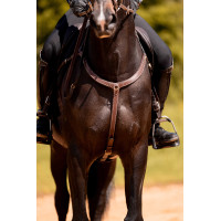 Collier de chasse 3 points K by Equithème K-Kontour