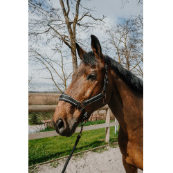 Licol + longe Equithème Coco Licol + longe Equithème Coco