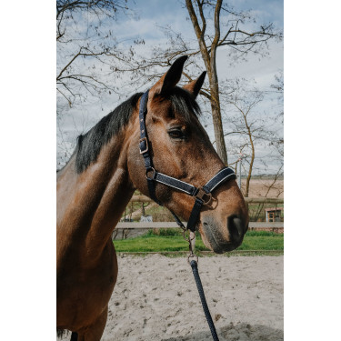 Licol + longe Equithème Coco Licol + longe Equithème Coco