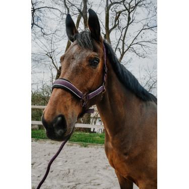 Licol + longe Equithème Coco Licol + longe Equithème Coco