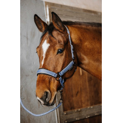 Licol + longe Equithème Coco Licol + longe Equithème Coco