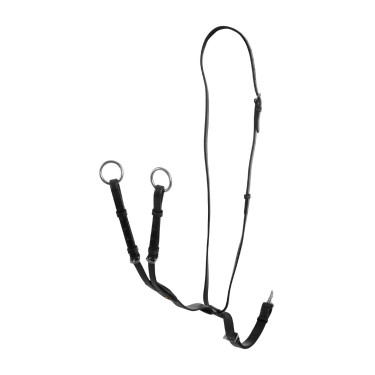 Martingale à collier en cuir avec boucles réglables Noir
