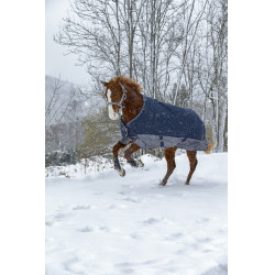 Couverture Equithème Tyrex 600 D 300g