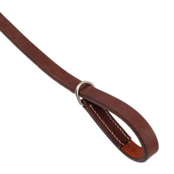 Collier de chasse Pool's western en cuir Huilé Marron