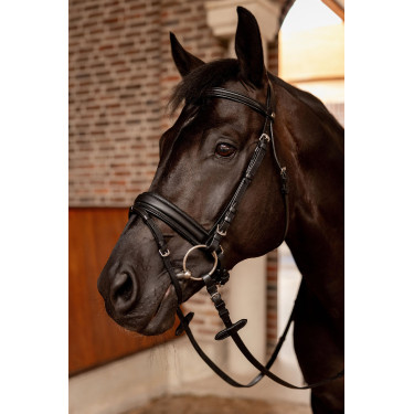 Bridon de dressage Horze Eternal Gaze Noir