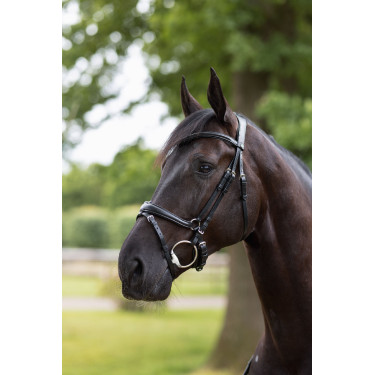 Filet bridon Nature Made Leisure Horze Noir