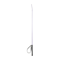 Stick de dressage Austin Horze Violet