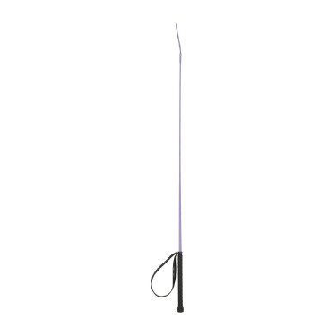 Stick de dressage Austin Horze Violet