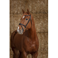 Bridon Norton Pro  Perle Havane