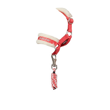 Longe et licol Toy Pony Harlow Coral Crush Harlow coral crush Rouge