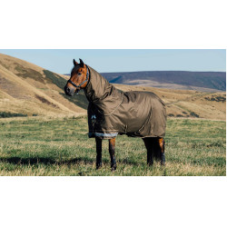 Couverture imperméable LeMieux Arika Ripstop 100g 600D Alpine Marron Couverture imperméable LeMieux Arika Ripstop 100g 600D Alpine Marron