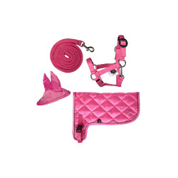 Set néon HKM Hobby Horse Rose Set néon HKM Hobby Horse Rose