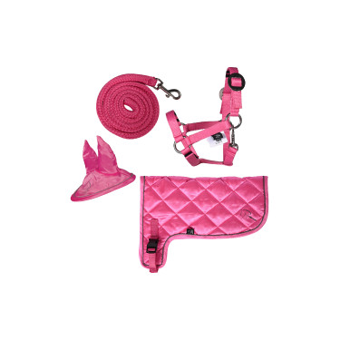 Set néon HKM Hobby Horse Rose Set néon HKM Hobby Horse Rose