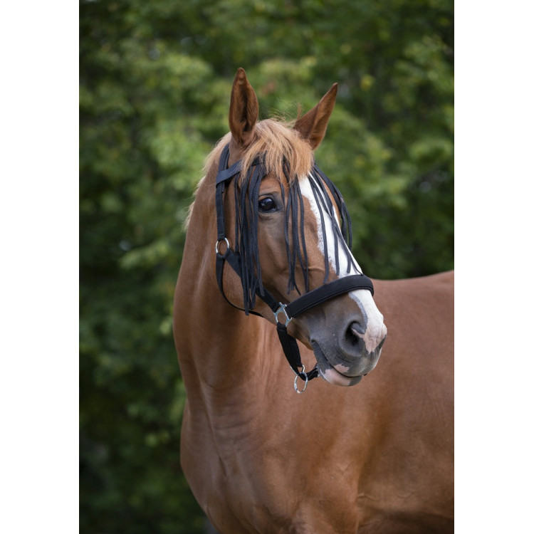Frontal chasse-mouches Norton Frontal chasse-mouches Norton