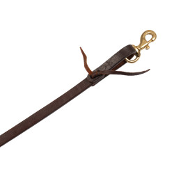 Rênes western Pool's 5/8" Huilé Marron