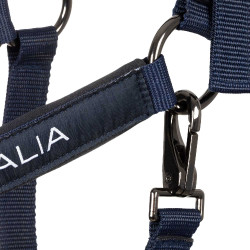 Licol Equestro x FISE doublé et réglable Marine blazer Bleu marine