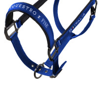 Licol Equestro x FISE doublé et réglable Bleu de savoie