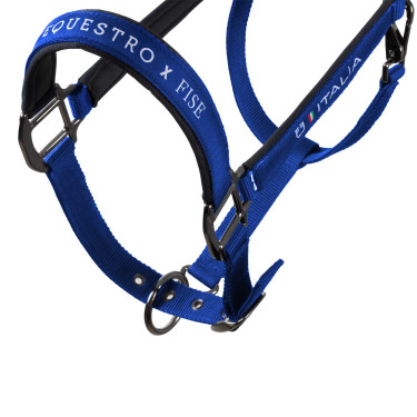 Licol Equestro x FISE doublé et réglable Bleu de savoie Licol Equestro x FISE doublé et réglable Bleu de savoie