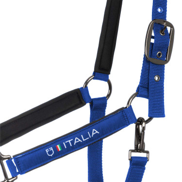 Licol Equestro x FISE doublé et réglable Bleu de savoie Licol Equestro x FISE doublé et réglable Bleu de savoie