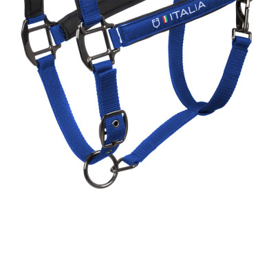 Licol Equestro x FISE doublé et réglable Bleu de savoie Licol Equestro x FISE doublé et réglable Bleu de savoie