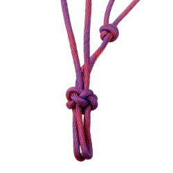Licol Pool’s motif Waves Rose / violet