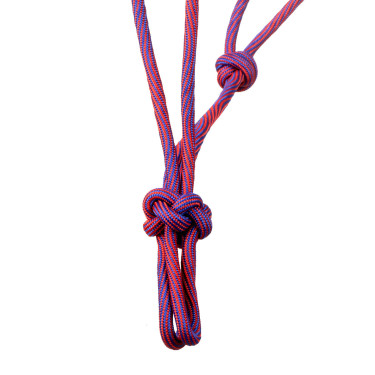 Licol Pool’s motif Waves Rose / violet