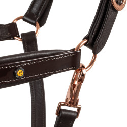 Licol en cuir lisse Equestro boucles rose gold Marron foncé Licol en cuir lisse Equestro boucles rose gold Marron foncé