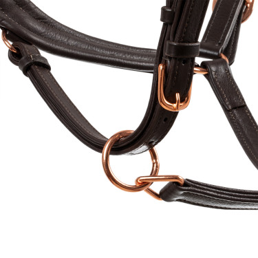 Licol en cuir lisse Equestro boucles rose gold Marron foncé Licol en cuir lisse Equestro boucles rose gold Marron foncé