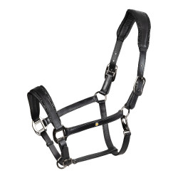 Licol en cuir Equestro anatomique Diamond Noir Licol en cuir Equestro anatomique Diamond Noir
