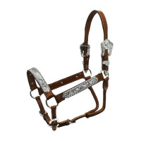 Licol cuir Pool’s ELHT/00932 Marron