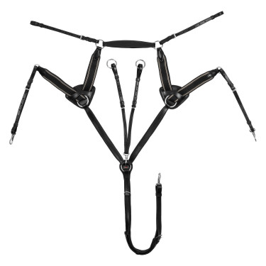 Collier de chasse Supreme 5 points Noir