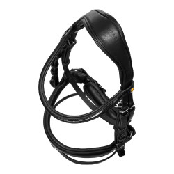 Bridon d’équitation Equestro têtière anatomique cuir