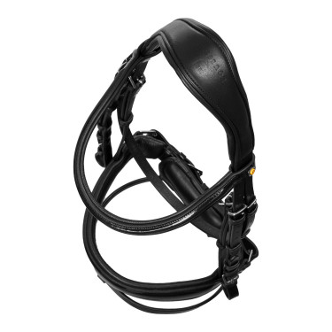 Bridon d’équitation Equestro têtière anatomique cuir