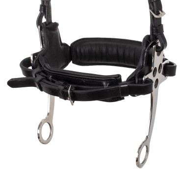 Bridon hackamore Supreme Noir Bridon hackamore Supreme Noir
