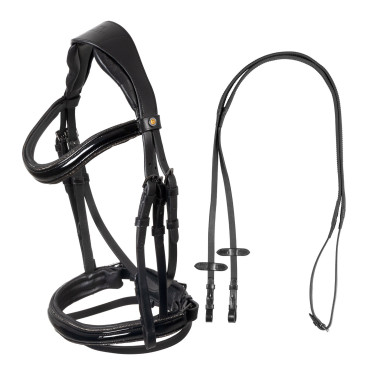 Bridon Equestro incurvé à forme avant Noir