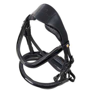 Bridon Equestro incurvé à forme avant Noir