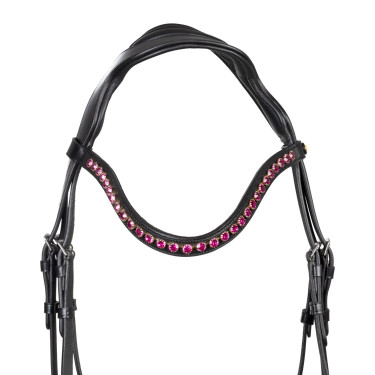 Bridon Equestro anatomique avec pierres Fuchsia Noir
