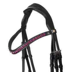 Bridon Equestro anatomique avec pierres Fuchsia Noir