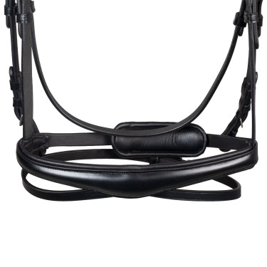 Bridon Equestro anatomique avec pierres Fuchsia Noir