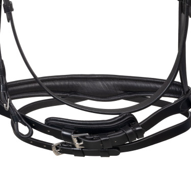 Bridon Equestro anatomique avec pierres Fuchsia Noir