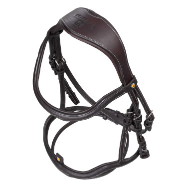 Bridon anglais en cuir souple Equestro à surpiqûres fantaisie Marron foncé