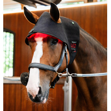 Bonnet LED thérapie rouge pour cheval – Horseware | Equi-Clic