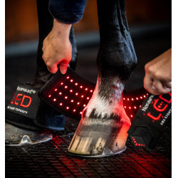 Guêtre thérapie LED cheval mini – récupération Horseware