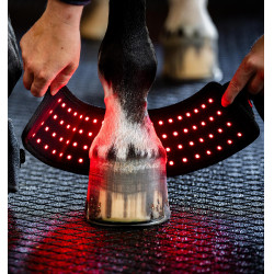 Guêtre thérapie LED cheval mini – récupération Horseware