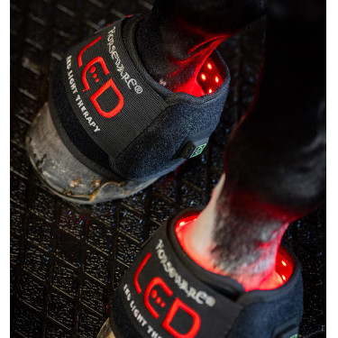 Guêtre thérapie LED cheval mini – récupération Horseware