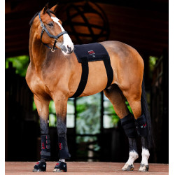 Guêtre thérapie LED cheval mini – récupération Horseware