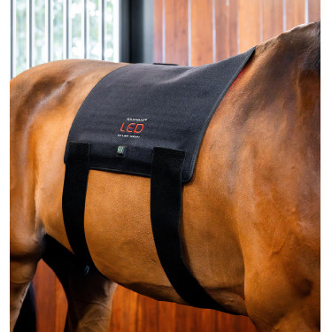 Tapis LED rouge Horseware pour thérapie équine