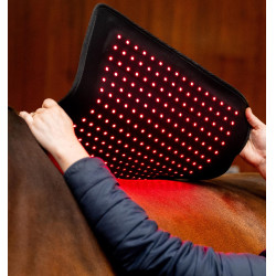 Tapis LED rouge Horseware pour thérapie équine