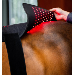 Tapis LED rouge Horseware pour thérapie équine