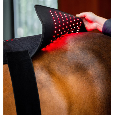 Tapis LED rouge Horseware pour thérapie équine